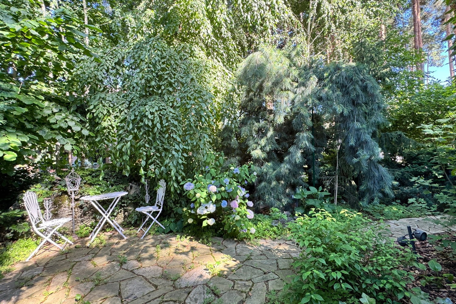 Цветы-антенны на ландшафтном участке. Фото компании Магия сада