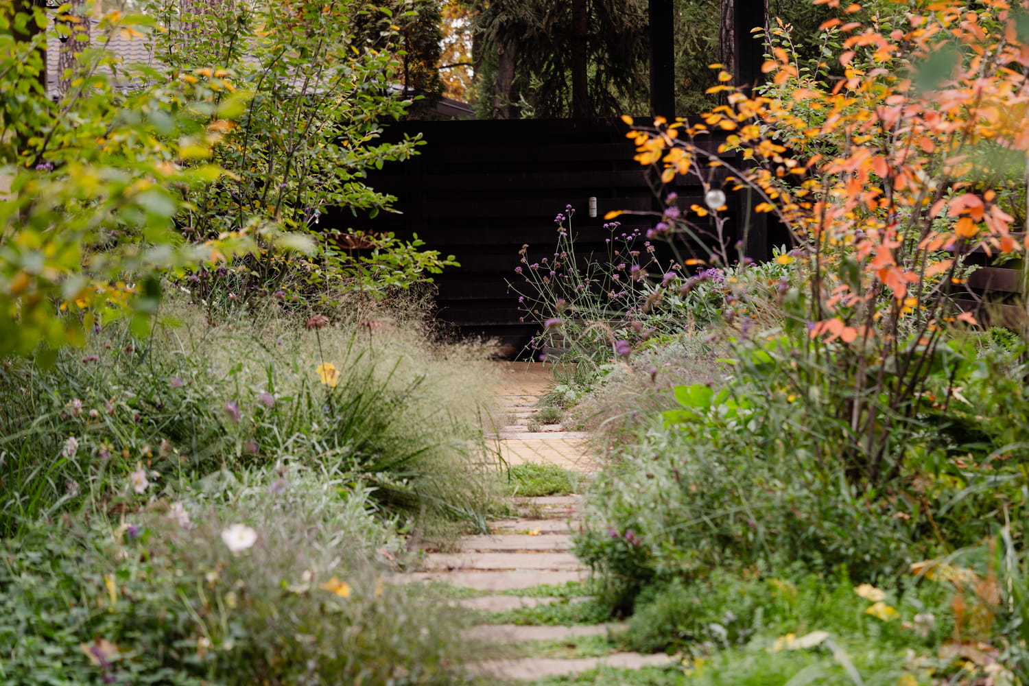 Газон в ландшафтном дизайне. Фото Магии сада