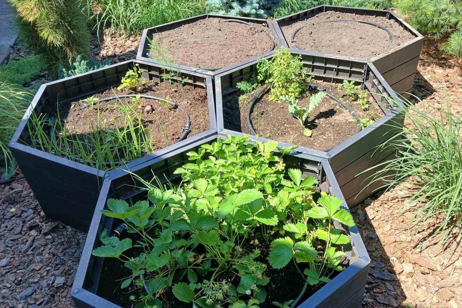 Декоративний город з агроплівкою та автополивом в Києві