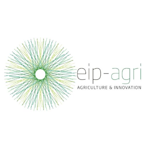 Klimapraxis EIP Roots & Robots