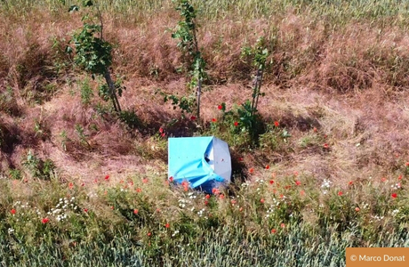 Klimapraxis Roots & Robots Agroforst Feldfreund Baumfreund Marco Donat