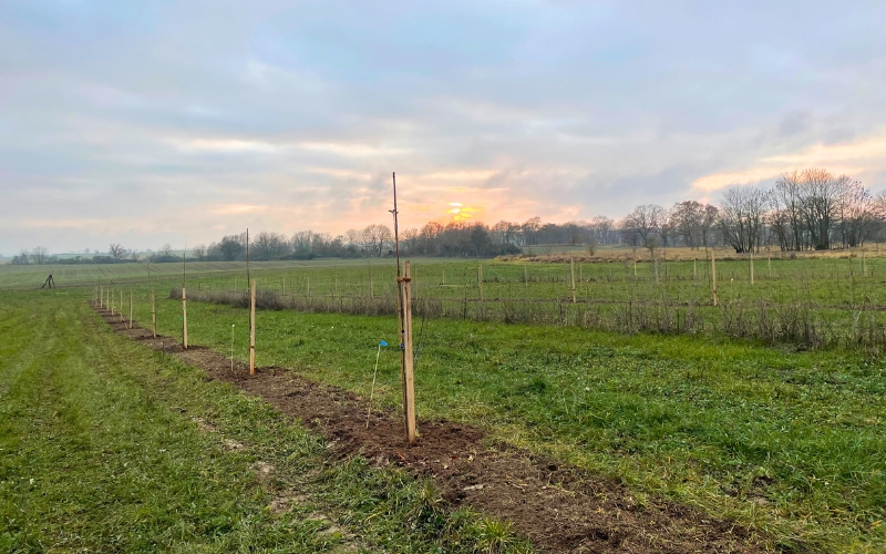 Roots & Robots Klimapraxis Agroforst