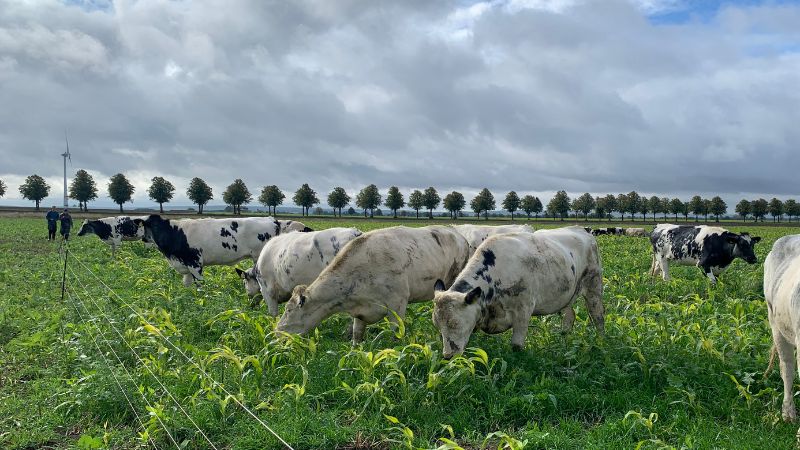 Wasserspeicher Philipp Gerhardt Klimapraxis