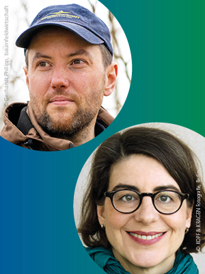 Langsames Wasser Kühlendes Grün Klimapraxis