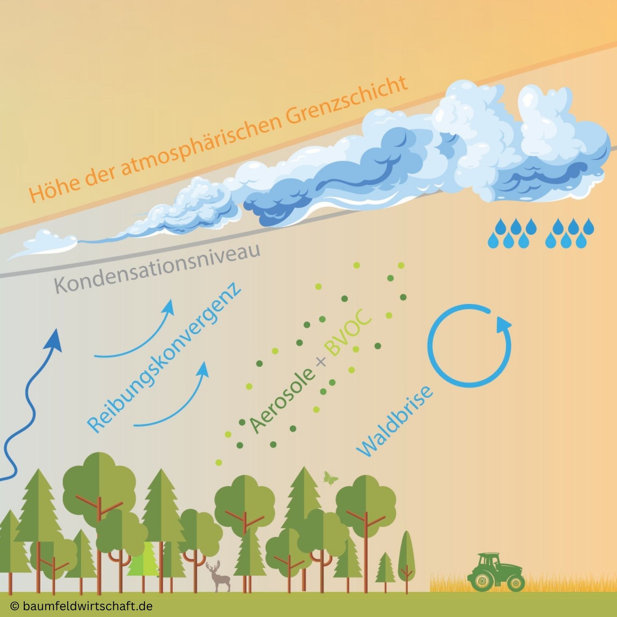 Langsames Wasser Kühlendes Grün Klimapraxis