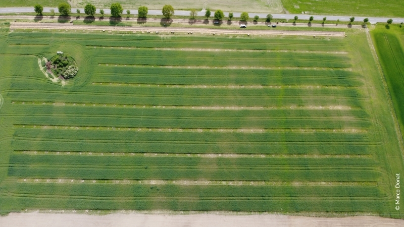 Roots & Robots Agrofrost Klimapraxis