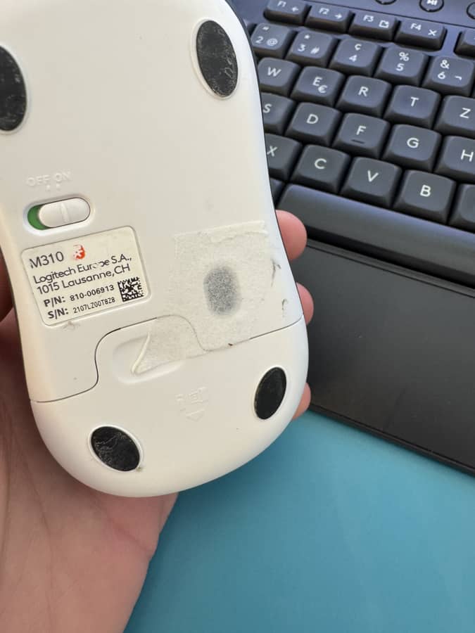 souris avec scotch blague