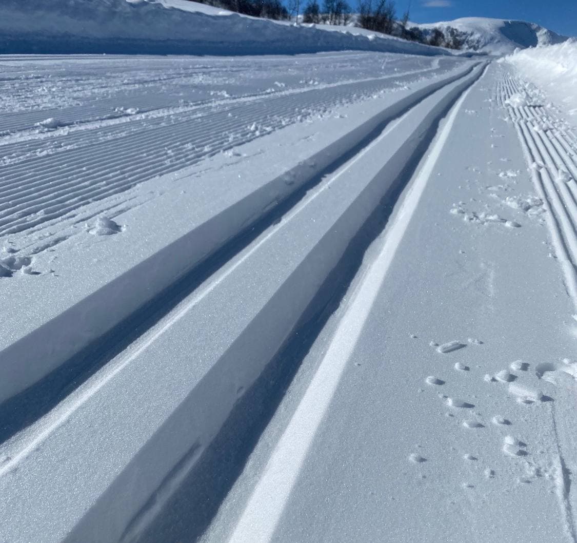 To mennesker som står på langrenn