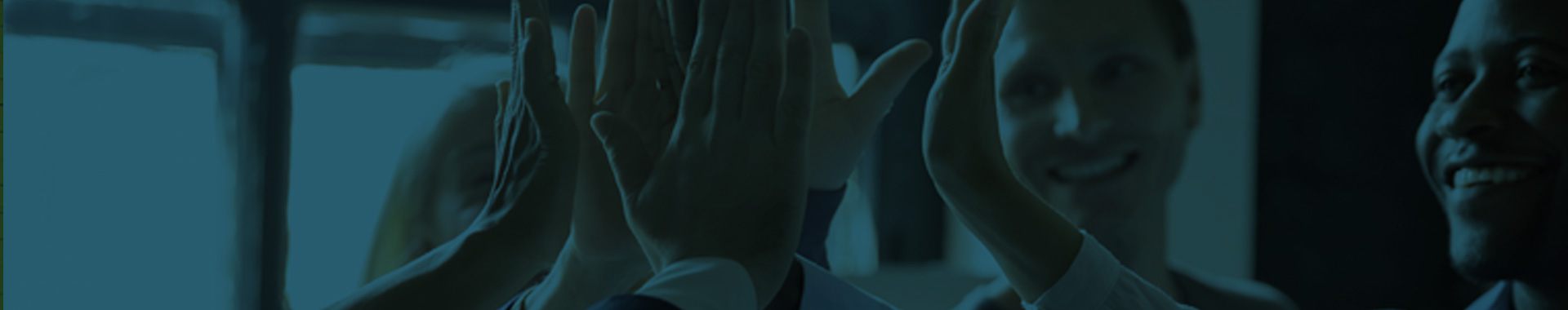 BGAV Standing Committee Chairs Appointed for 2026