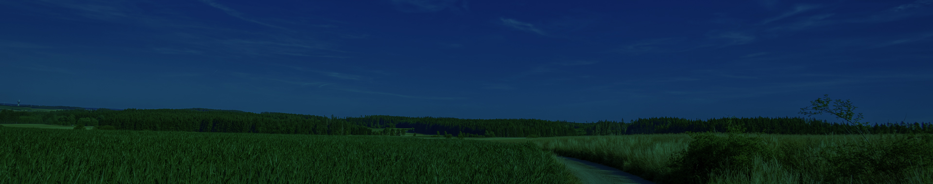 Walking Toward Blue Sky