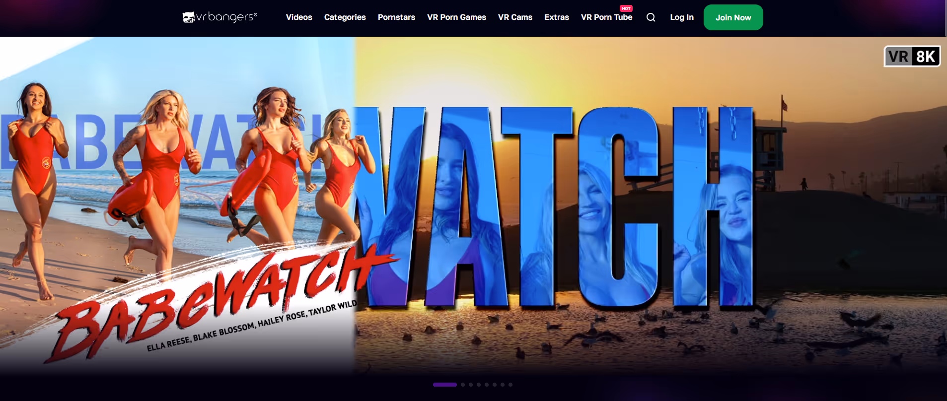 VRbangers.com review