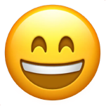 asistencia tecnica selfriends