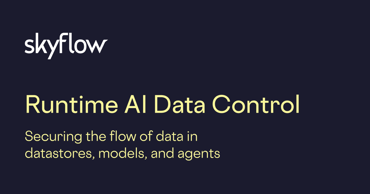 Skyflow screenshot 1