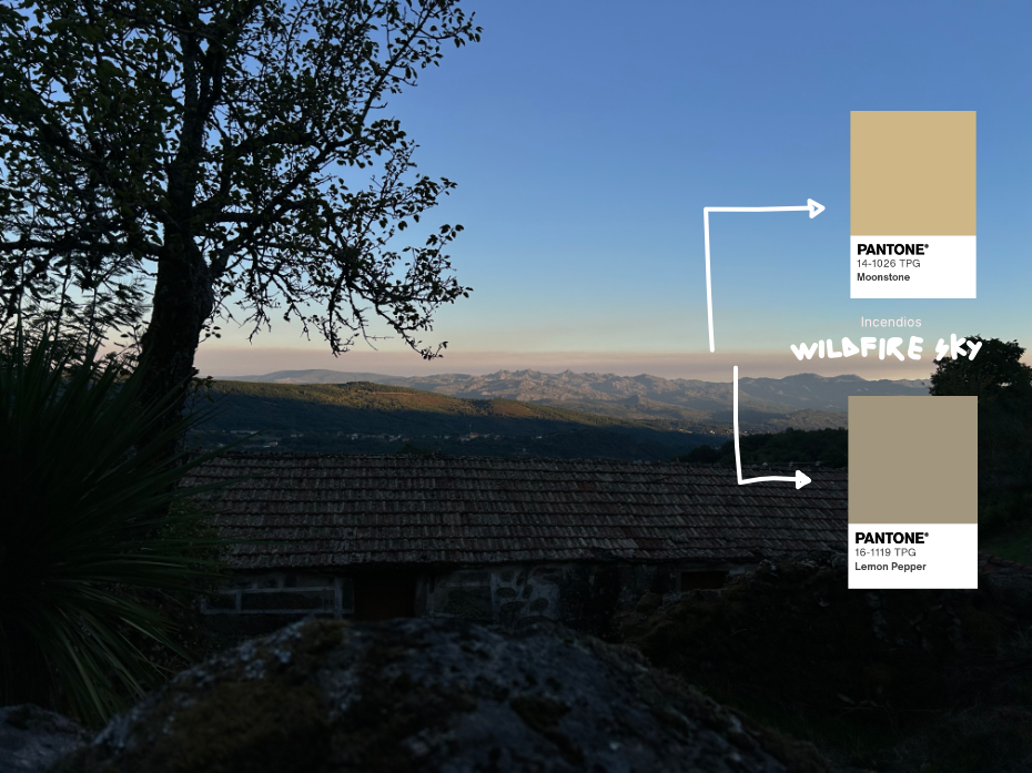 Photo of the mountains with a wildfires smoke which is then color coded with pantone