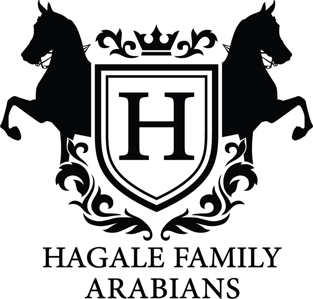 Hagale Family Arabians