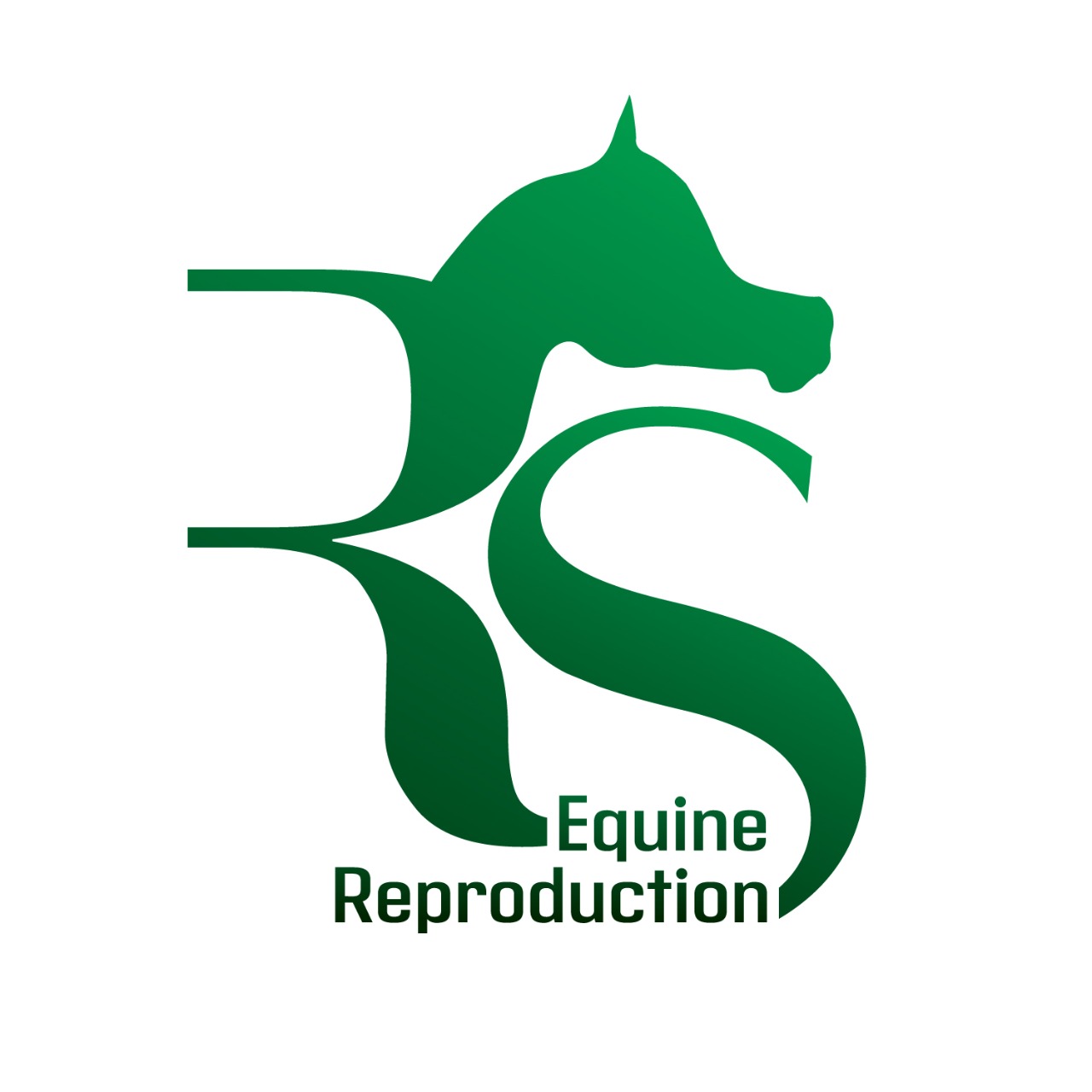 RS Equine Reproduction