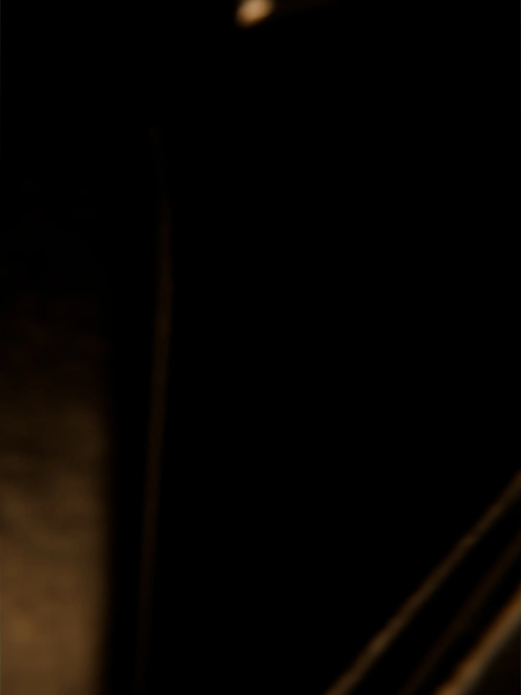 Abstract dark image with blurred vertical and diagonal brownish shapes on black background.