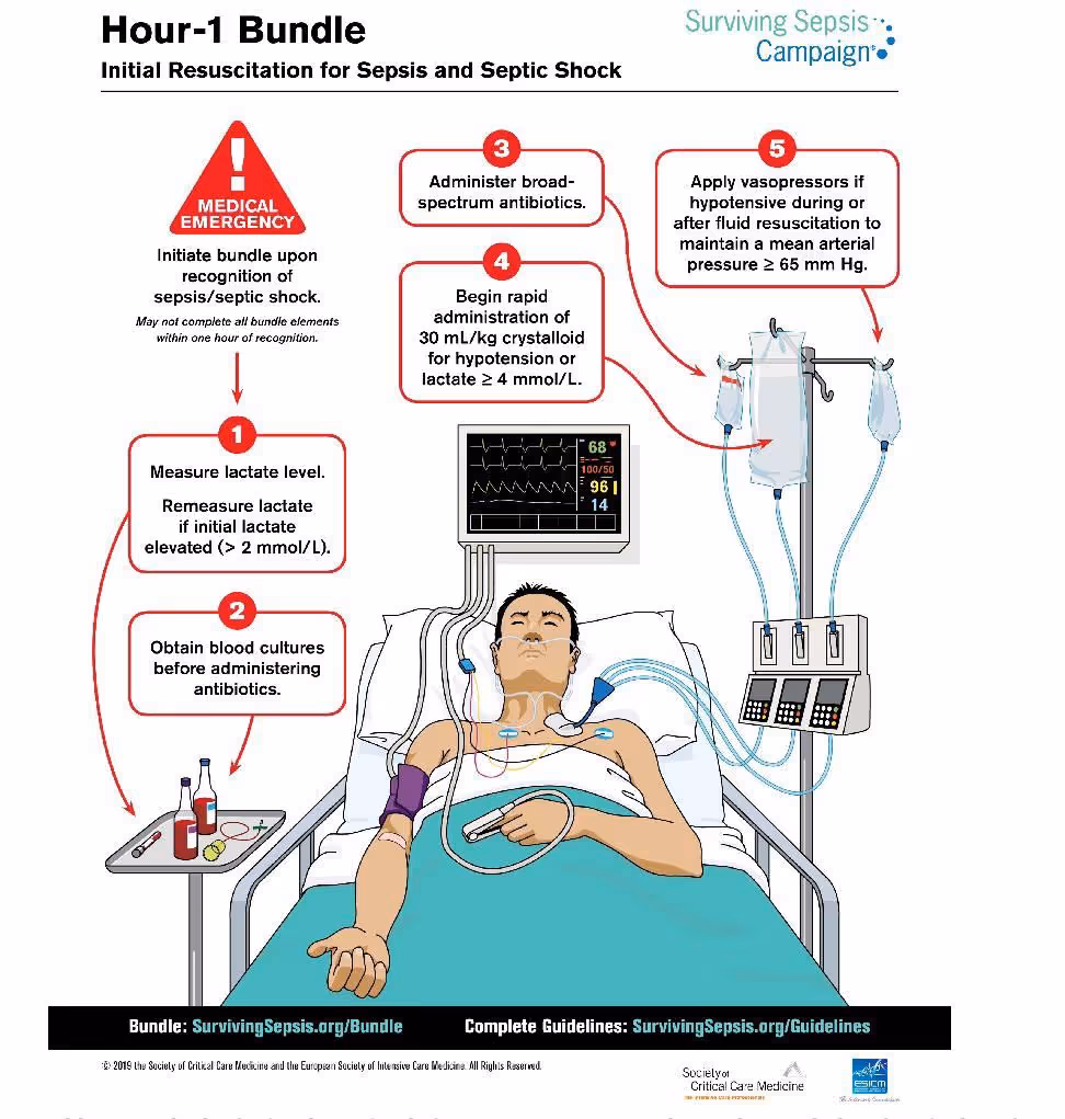 Sepsis (Initial resuscitation)