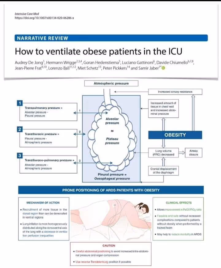 How to ventilate obese patients 