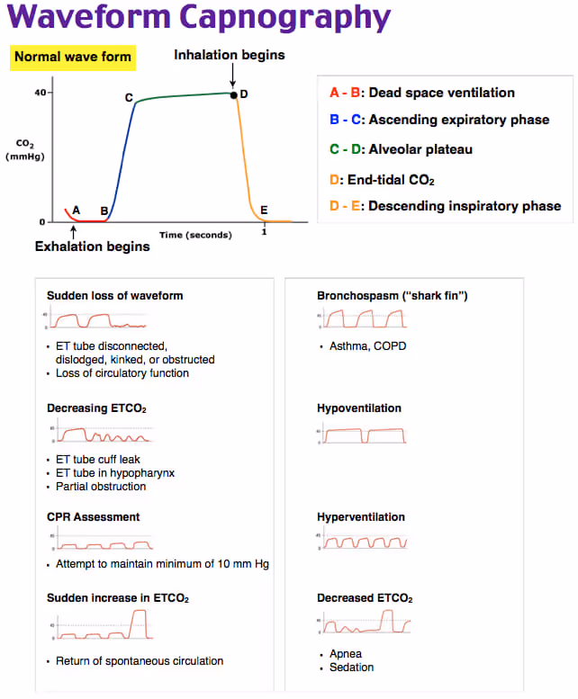 Waveform capnography