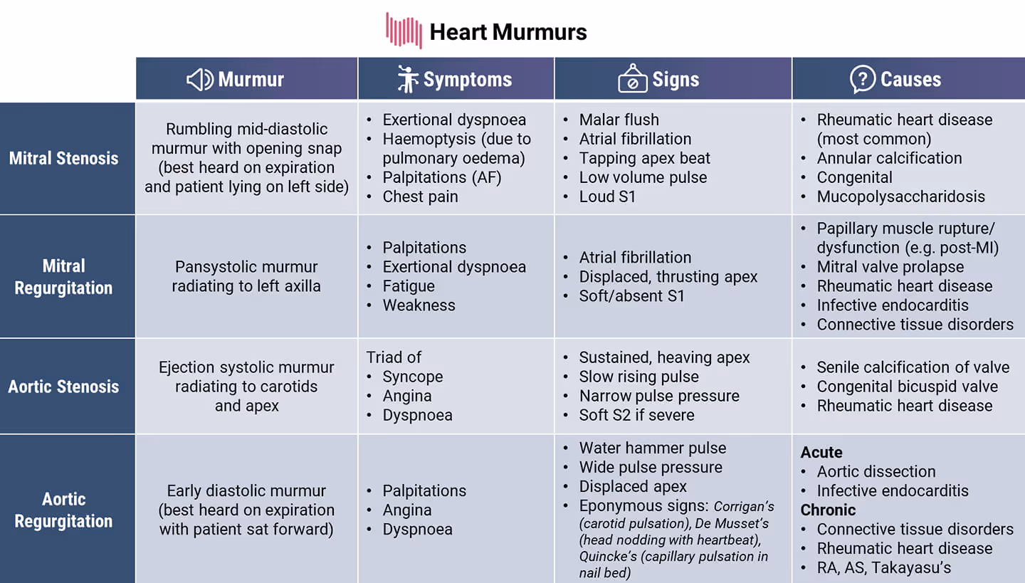 Heart murmurs
