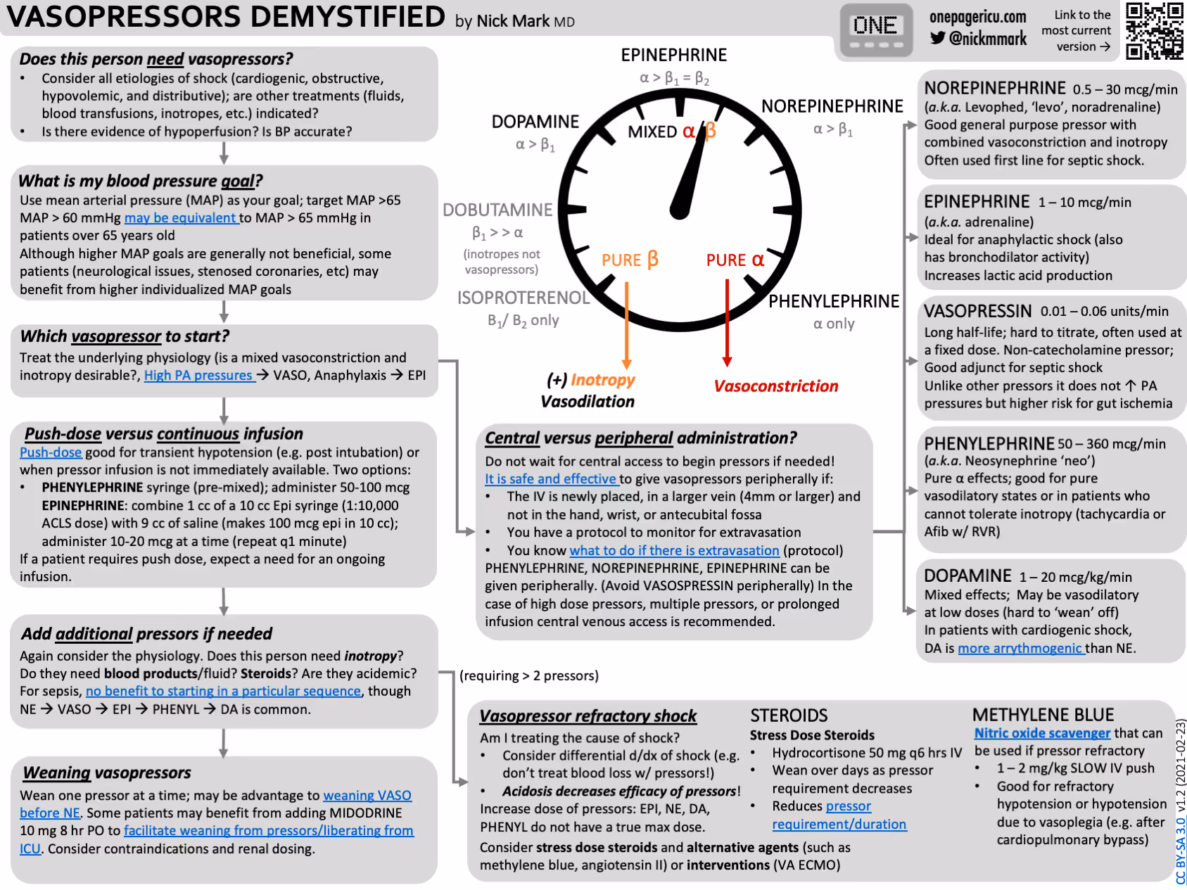 Vasopressors overview