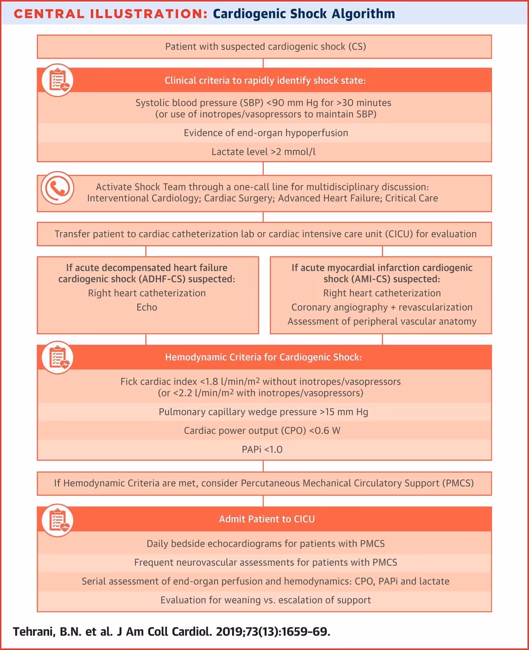 Cardiogenic shock algorhytm