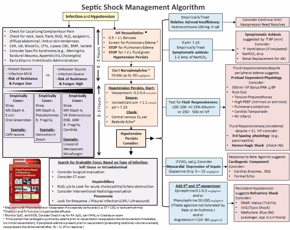 Septic shock management algorithm
