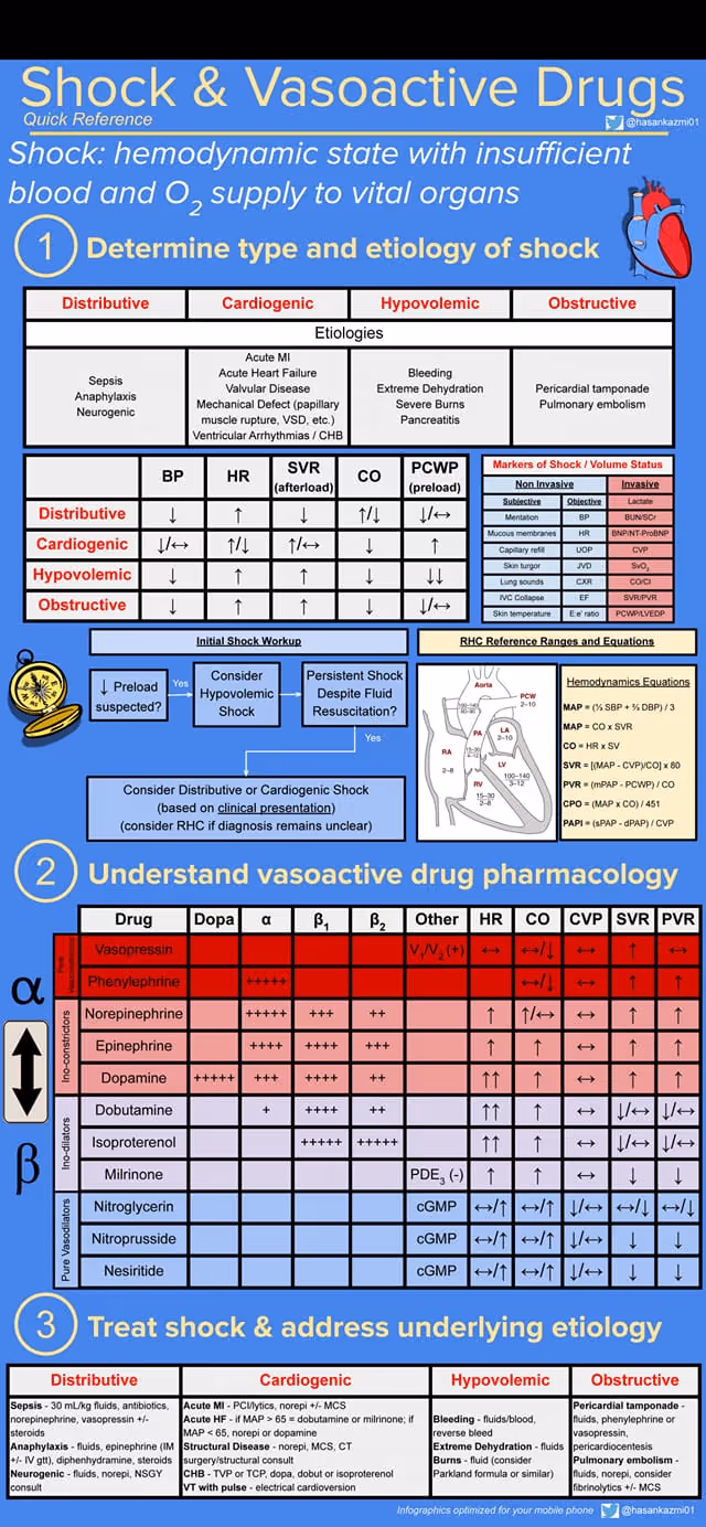 Shock and vasoactive drugs