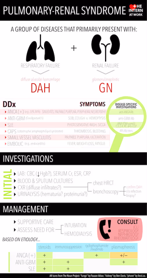 Pulmonary renal syndrome