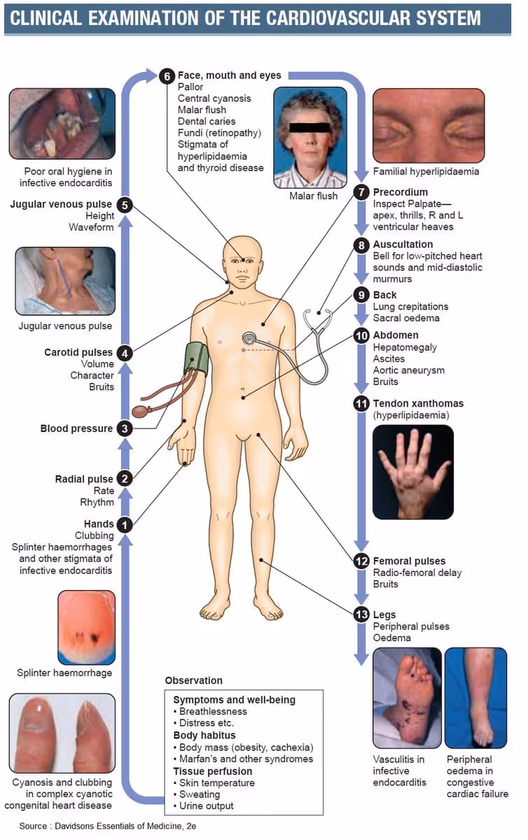 Clinical examination of cardiovascular system