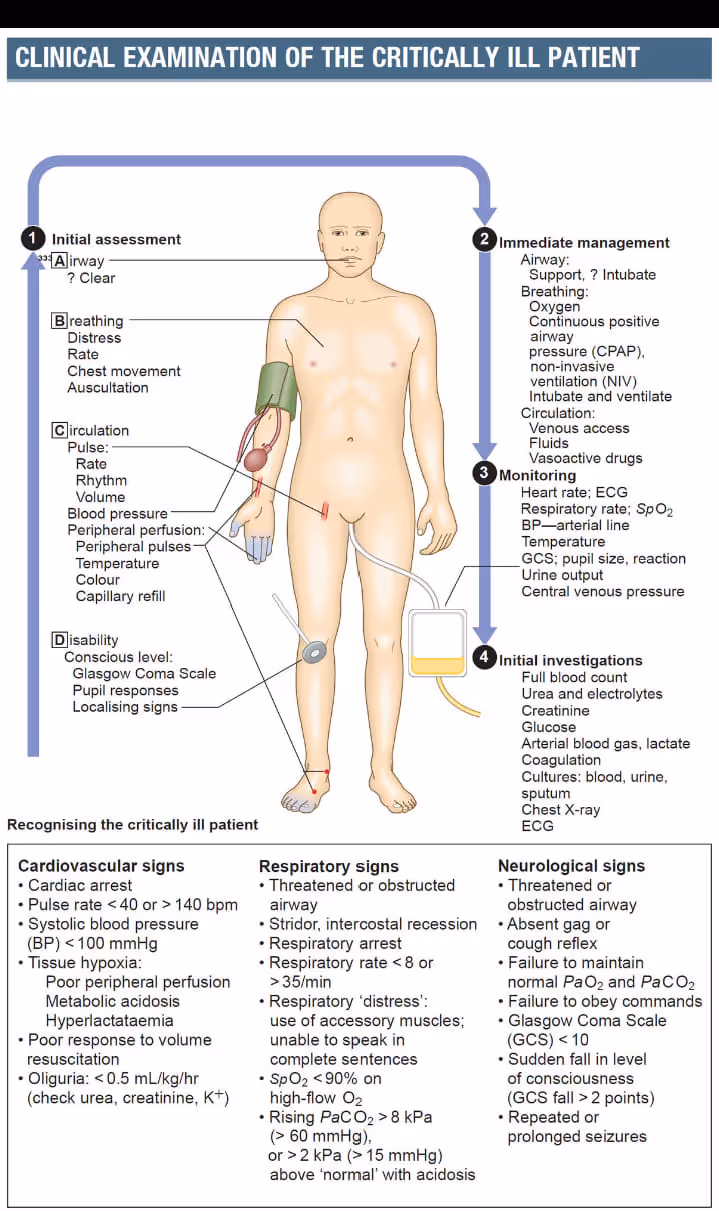 Clinical examination of critically ill patients