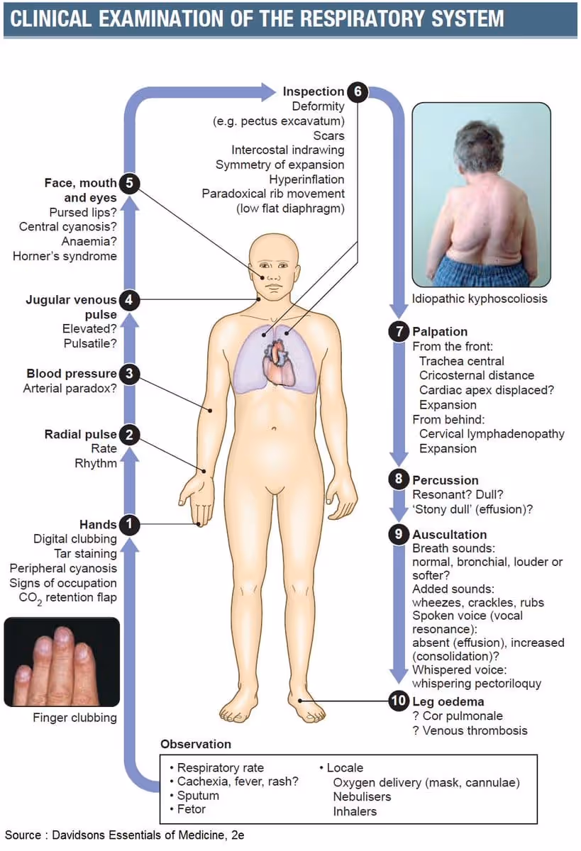 Clinical examination of respiratory system