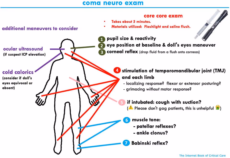 Neurological exam in comatous patient