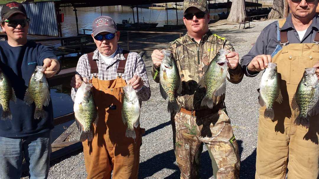 Customer inquiring about Reelfoot Lake fishing guides in Hornbeak, TN.