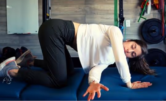 Thread the needle home exercise