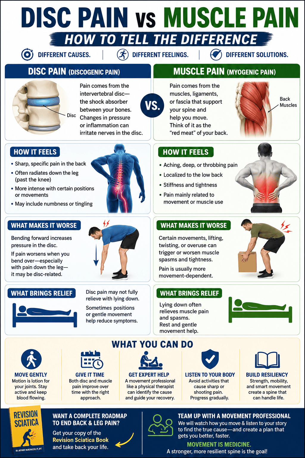 Disc pain vs Muscle Pain 