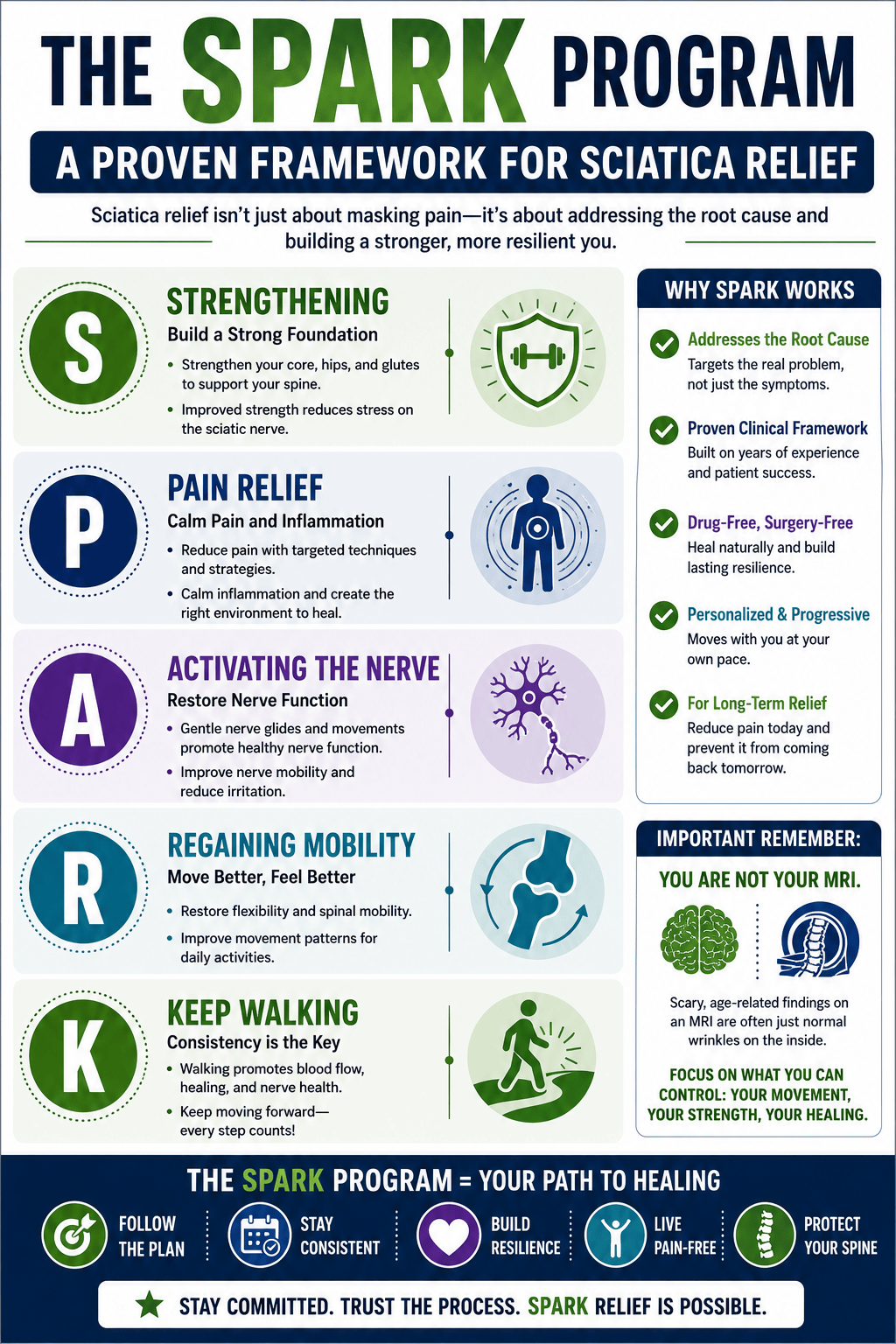 Infographic of the Spark Program