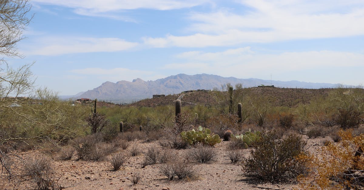 How do you find the right ADHD coach in Tucson