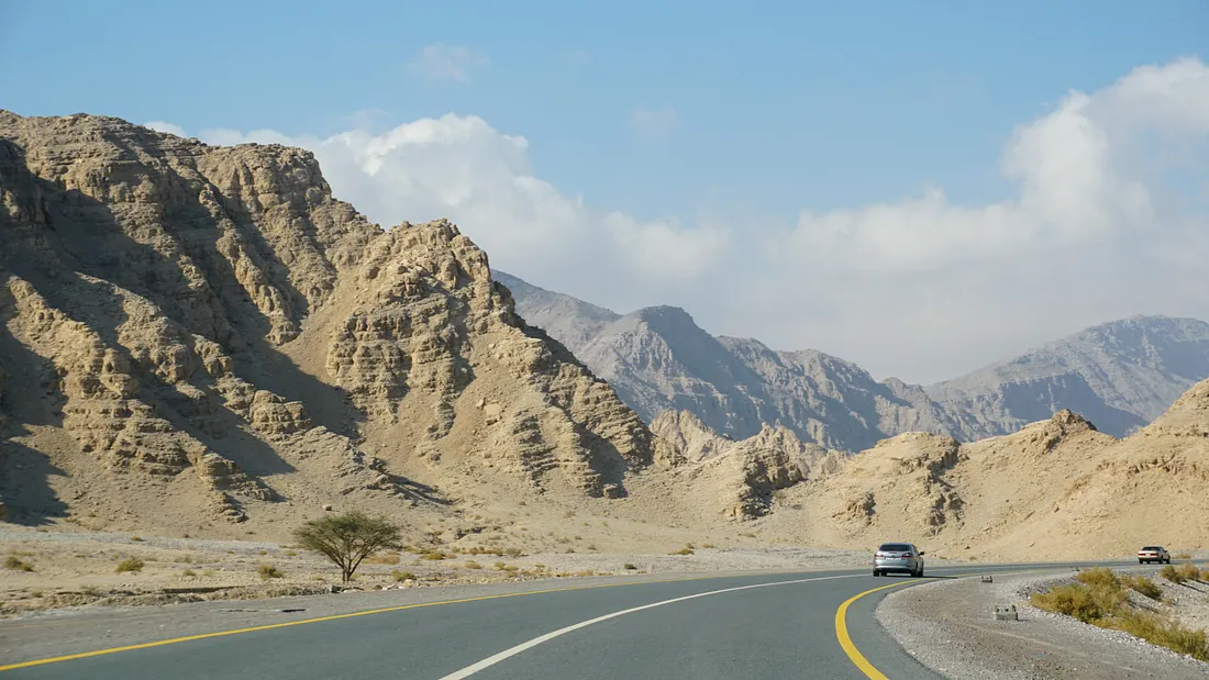 New in Newton - May 2018