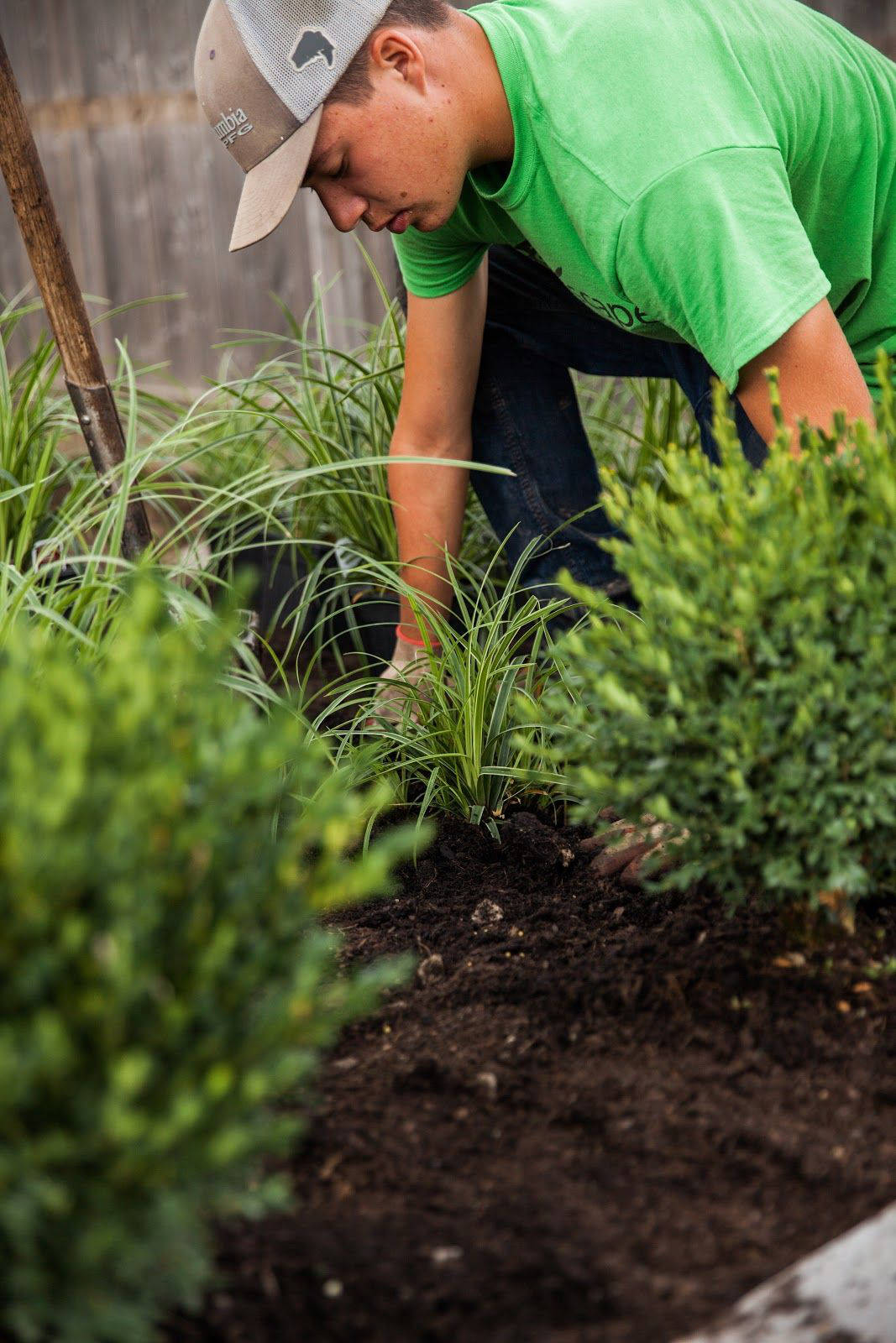 A landscaper checking the soil to maintain garden health.