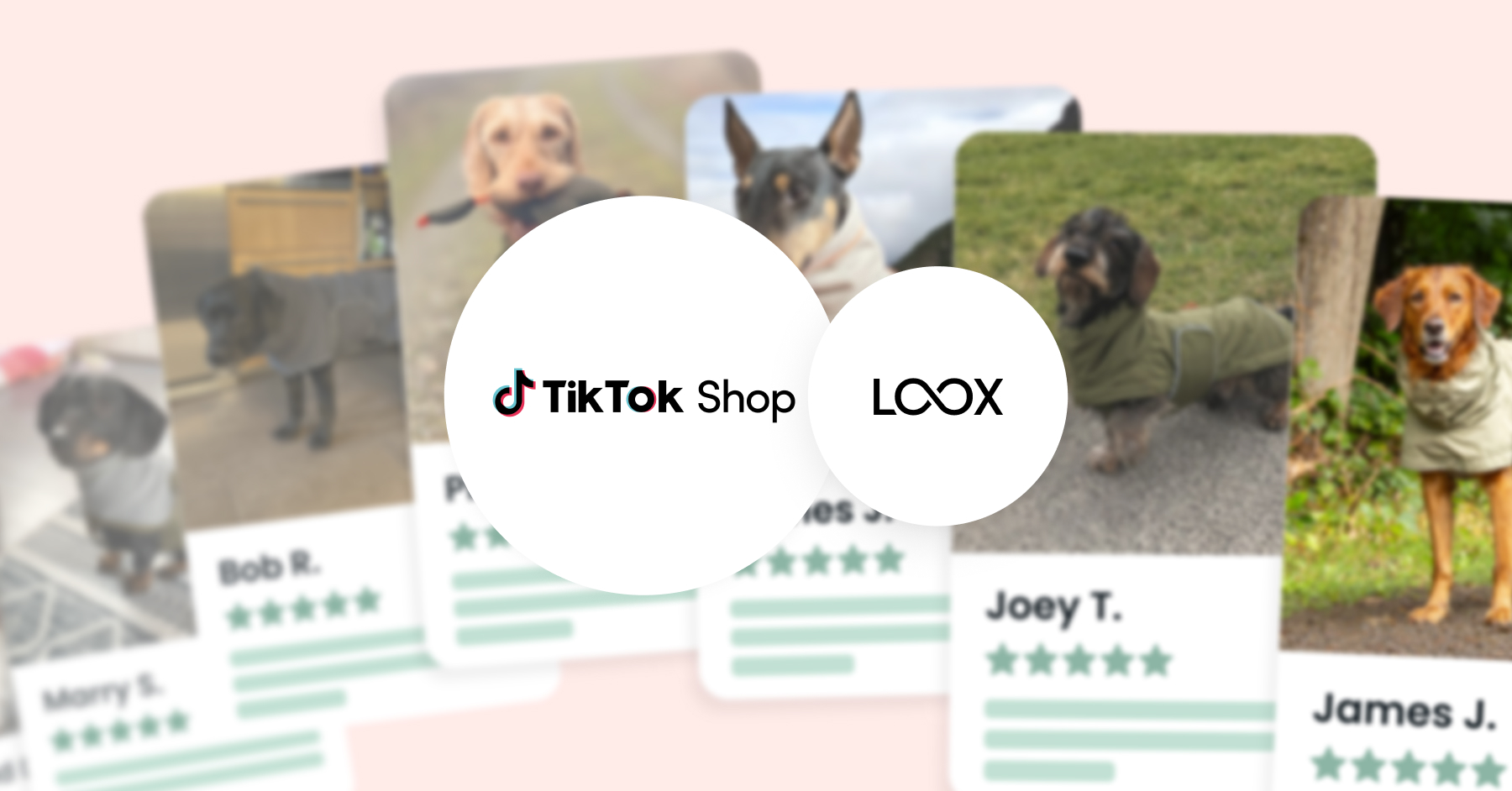 hompage blog cover leads to the blog