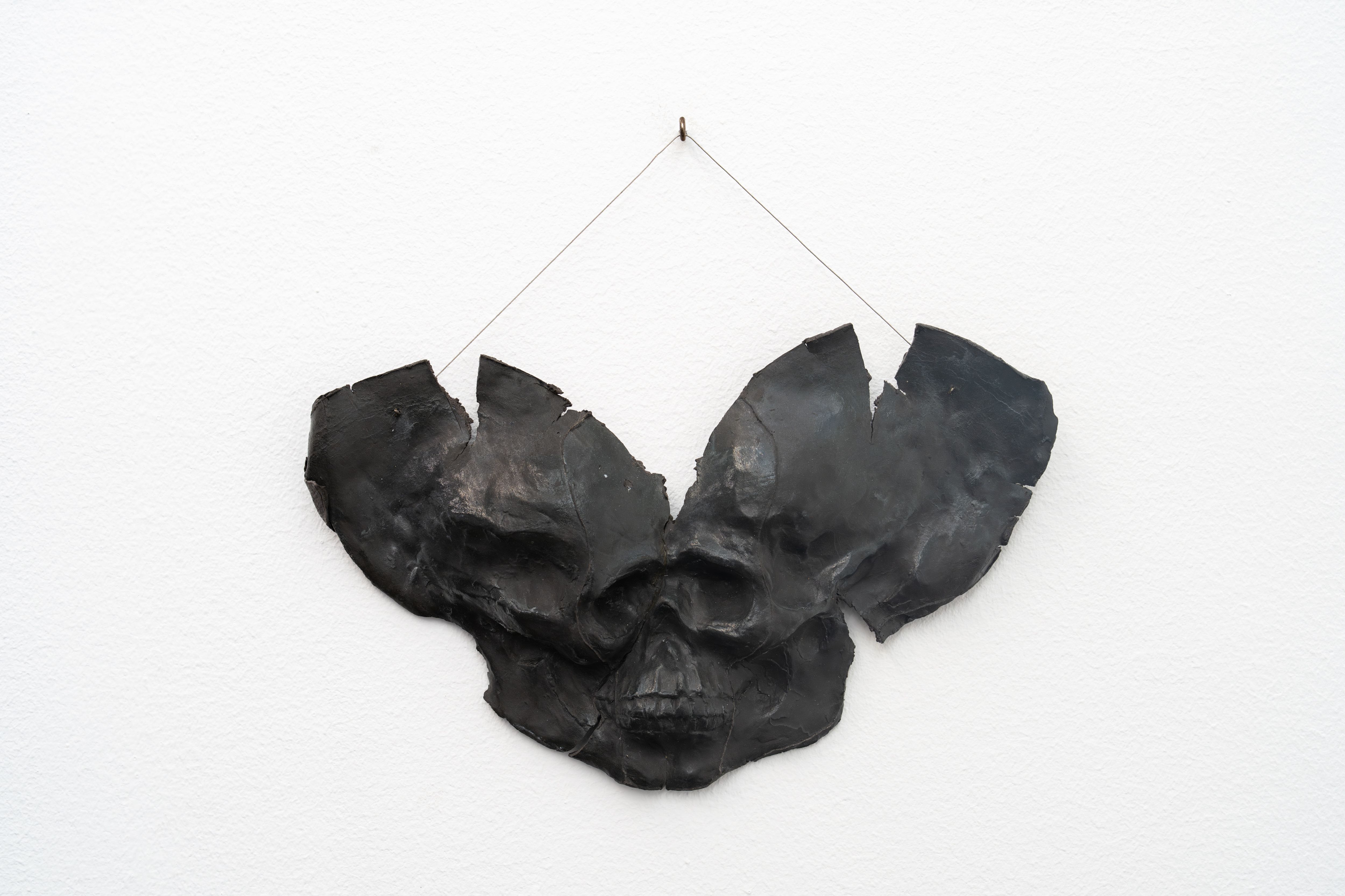 A Bat / photo by Daniel Hanoch