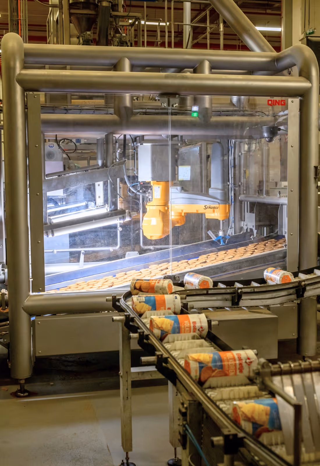 food automation sorting system