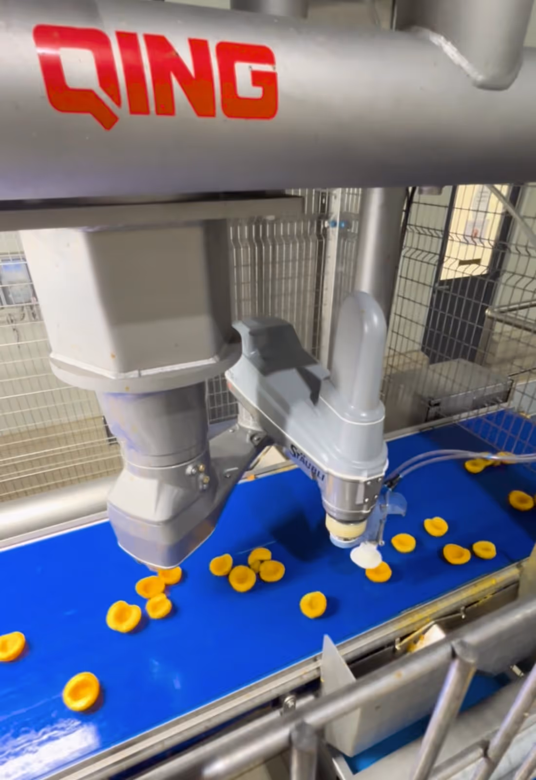 sorting & bin-picking systems vision ai