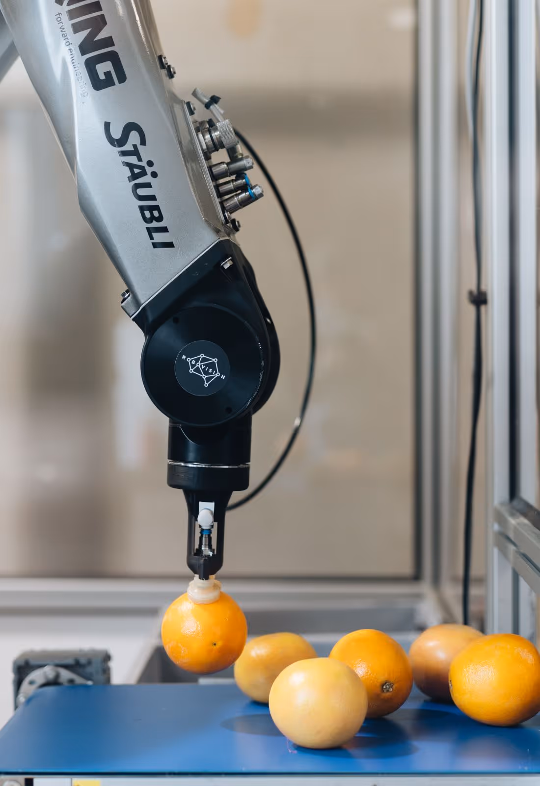 Ai sorting system fruit