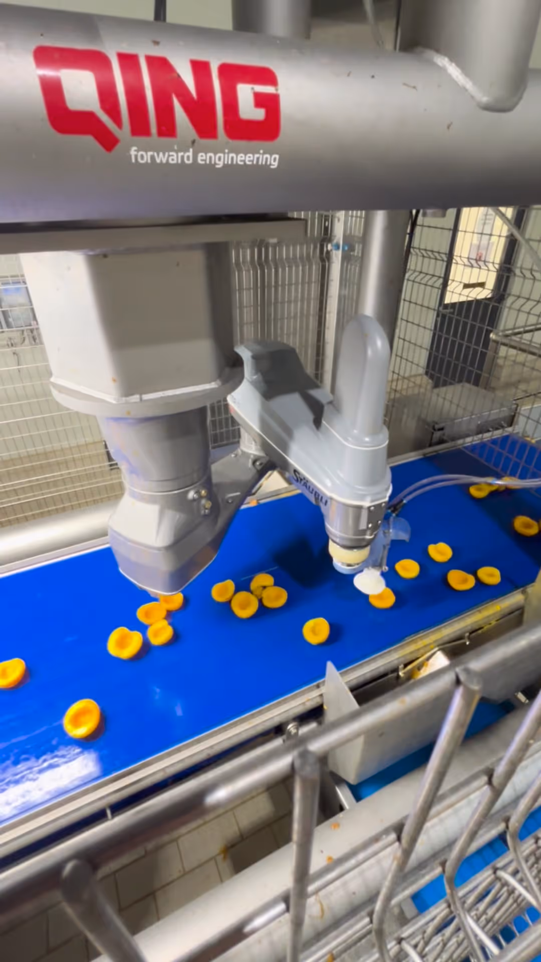 sorting-ai-machine-fruit