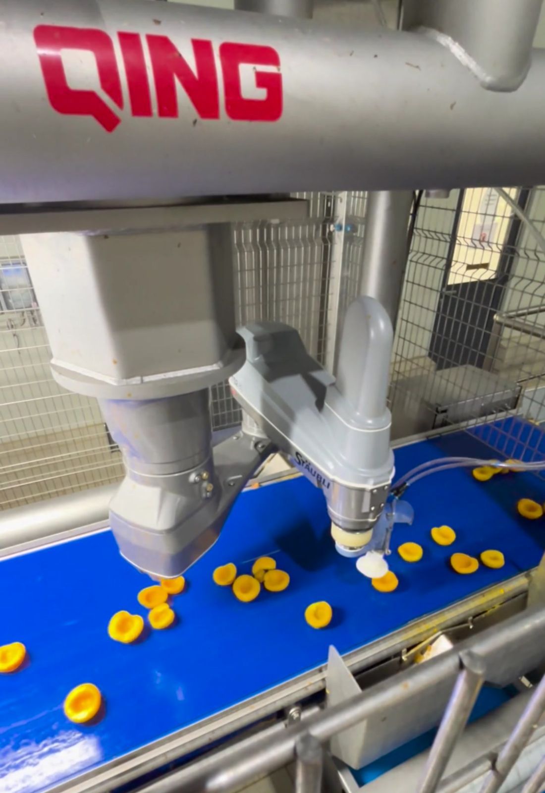 sorting & bin-picking systems vision ai