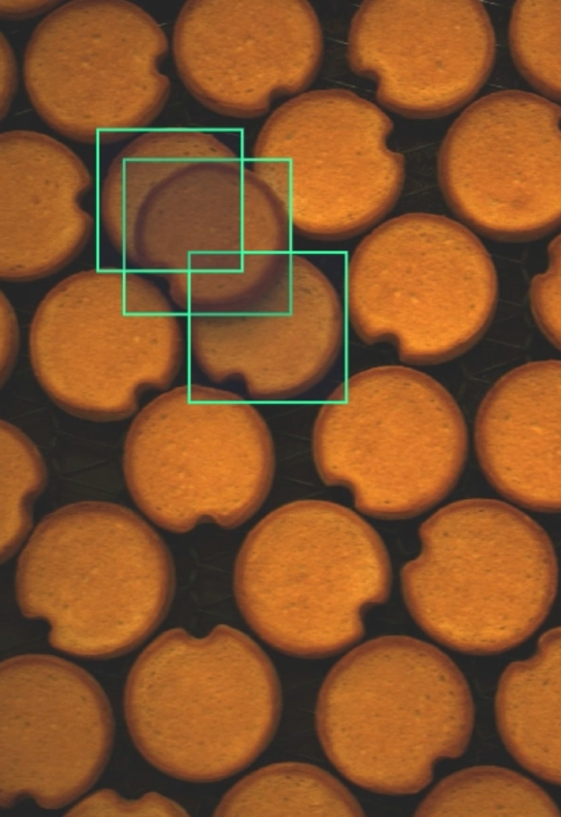 Quality control systems inspectiesystemen kwaliteit voedingsindustrie