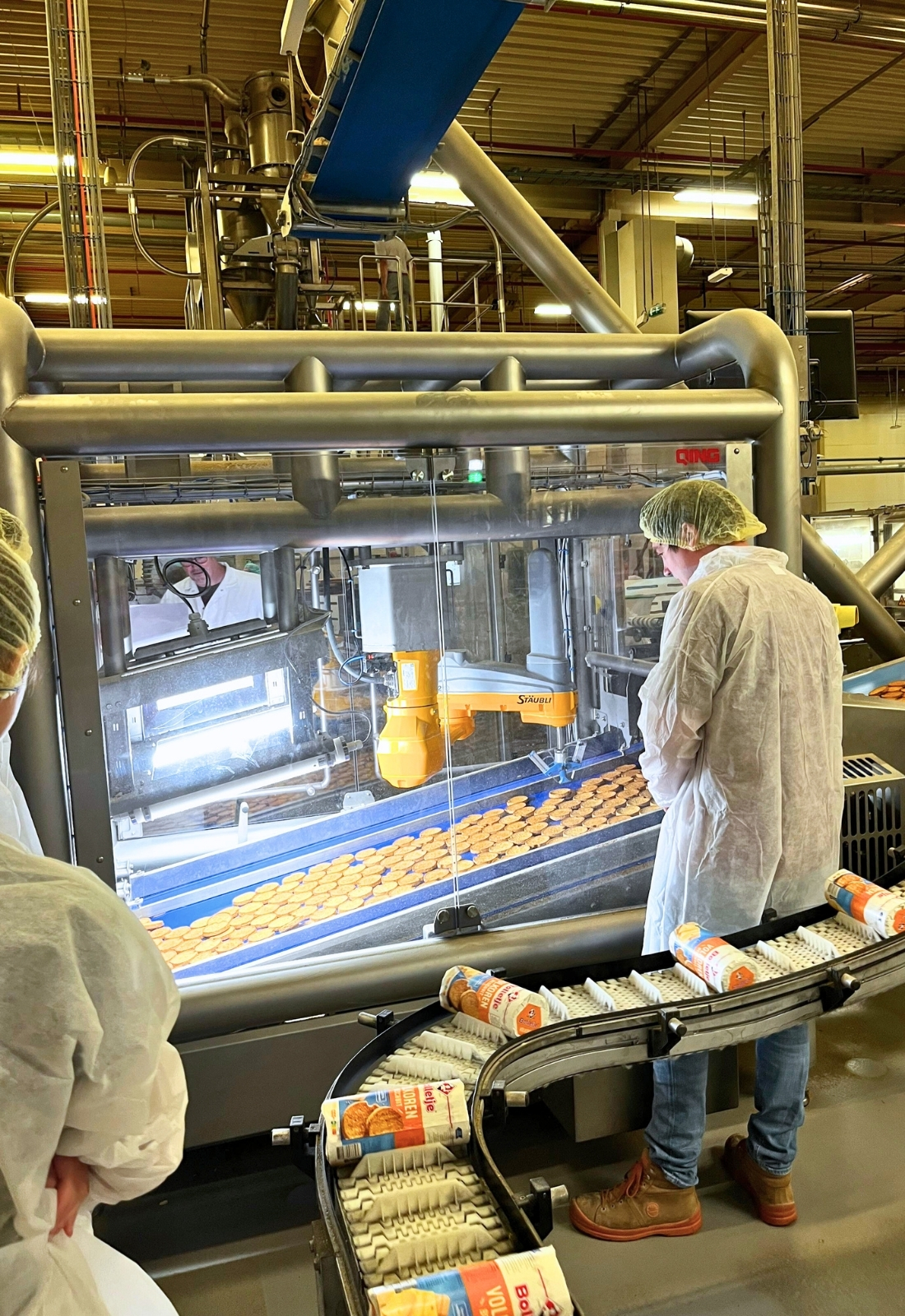 Food processing systems 